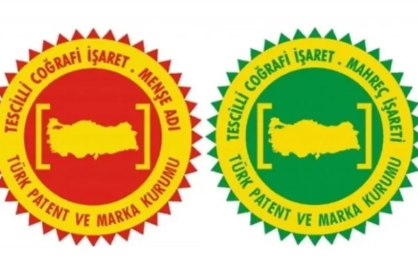 Menşe-mahreç